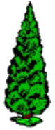 tree.gif (6534 bytes)